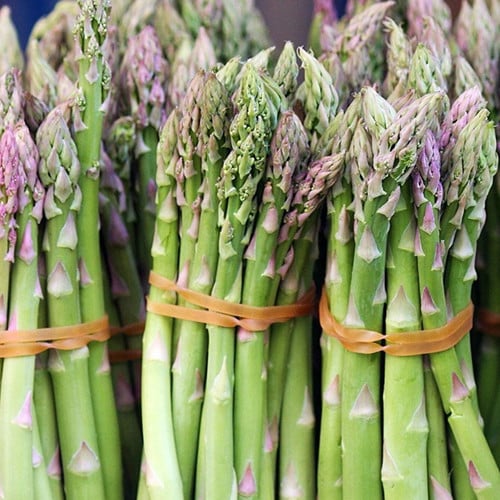 asparagus - mary washington