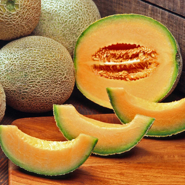 cantaloupe