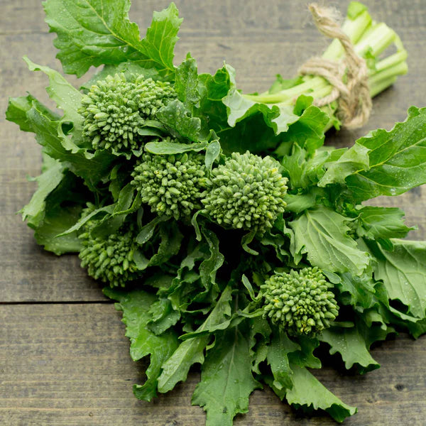 rapini