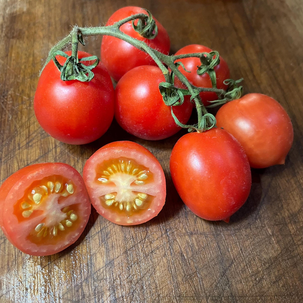 tomato - principe borghese