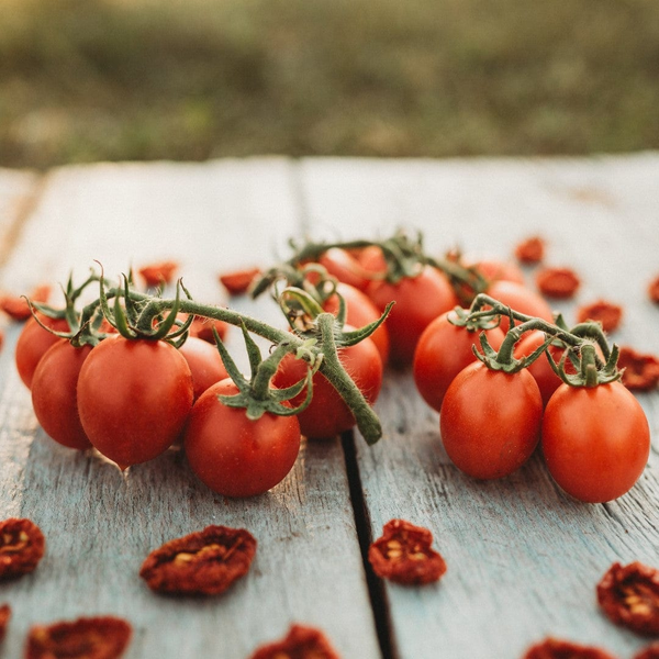 tomato - principe borghese